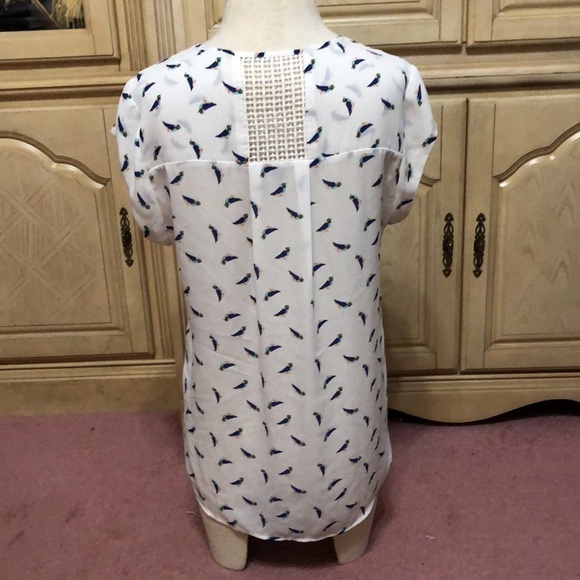 PERFECT Summer top - Picture 4 of 7